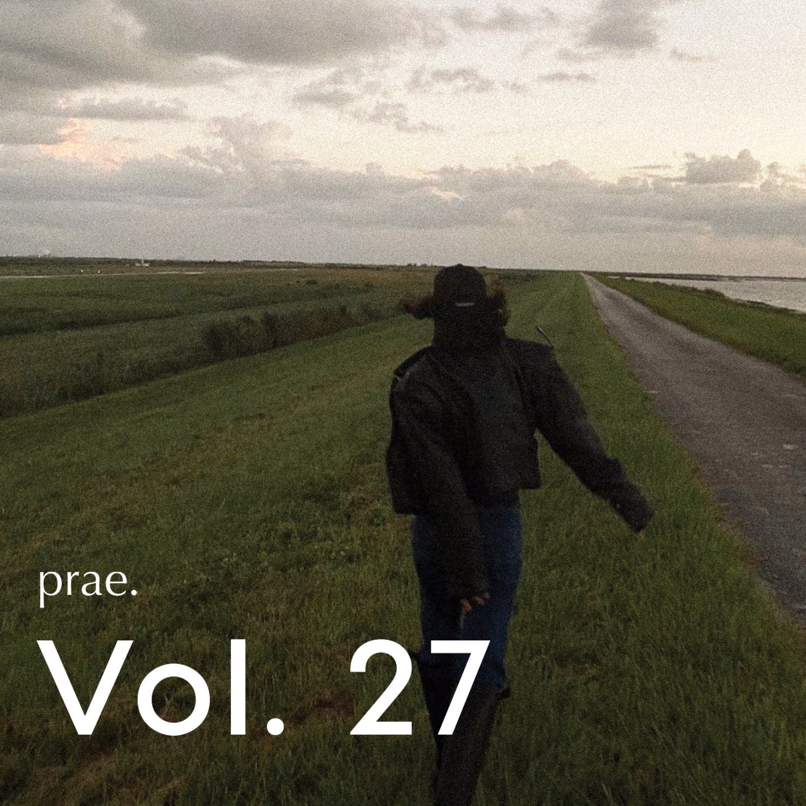 Afternoon Strolls - Vol. 27