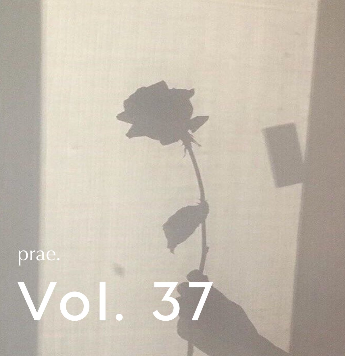 Spring Clean Vol. 37
