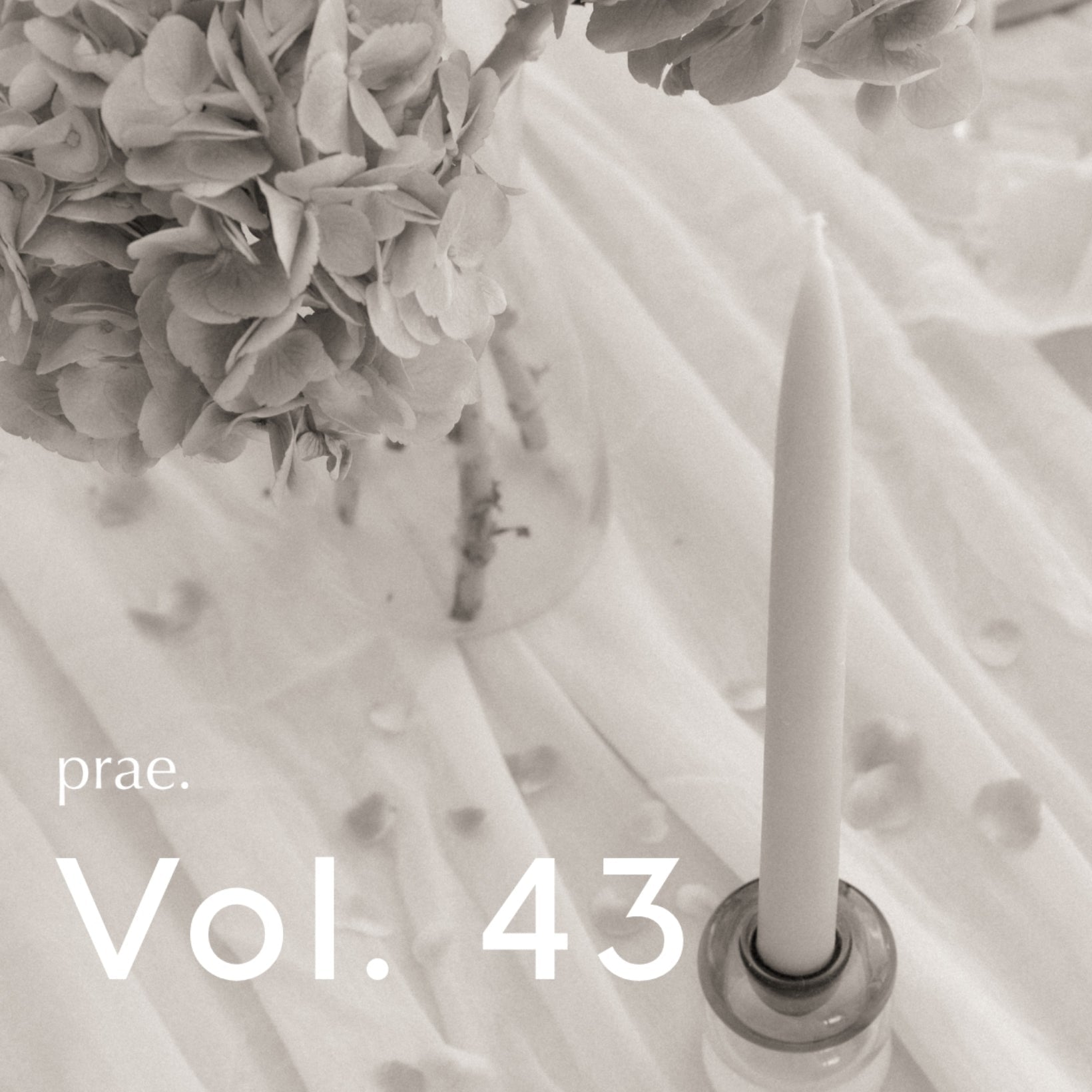 WARM HEART Vol. 43