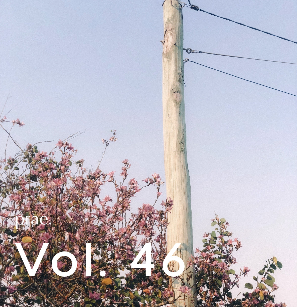 AUTUMN AFTERNOONS Vol. 46