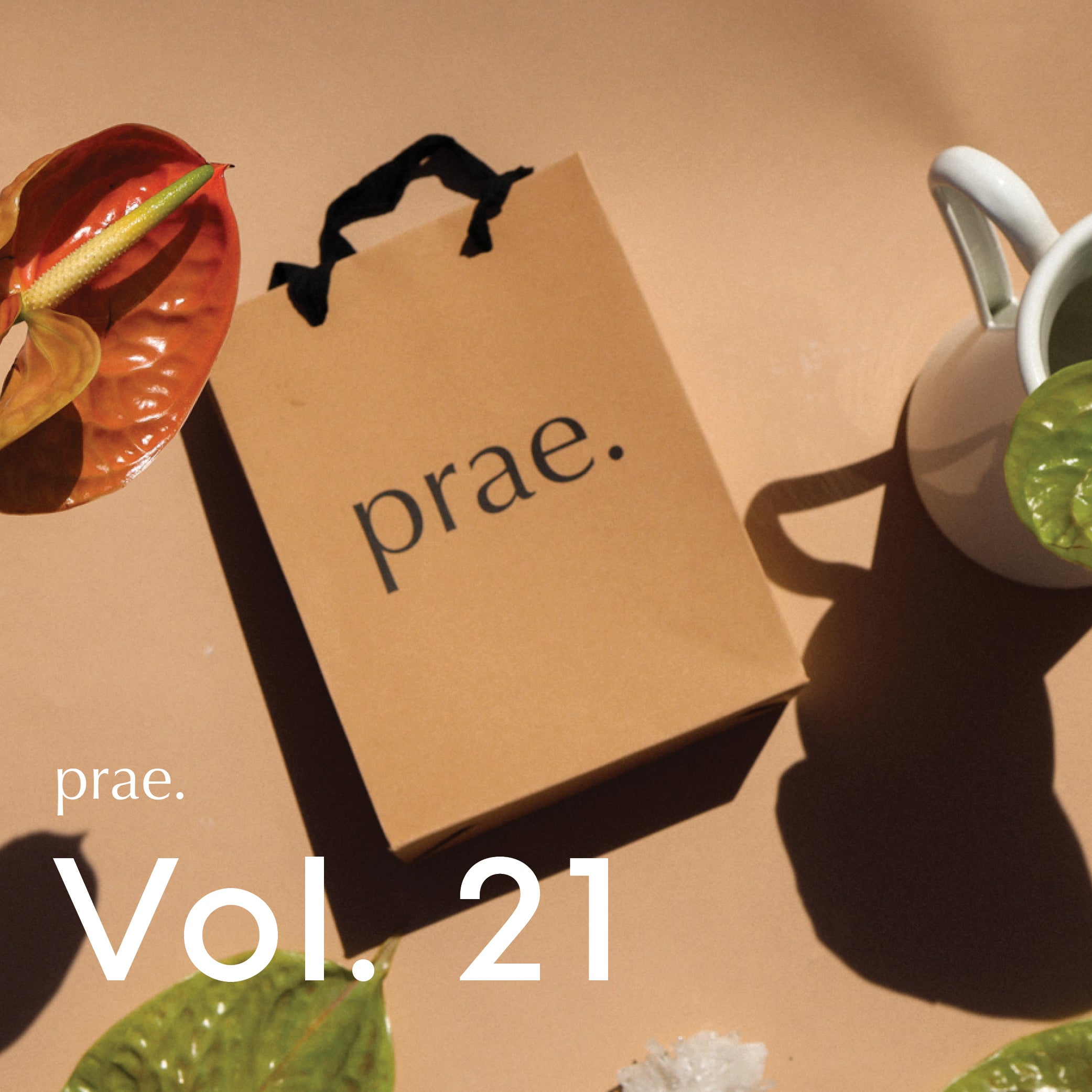 A very prae christmas - Vol 21