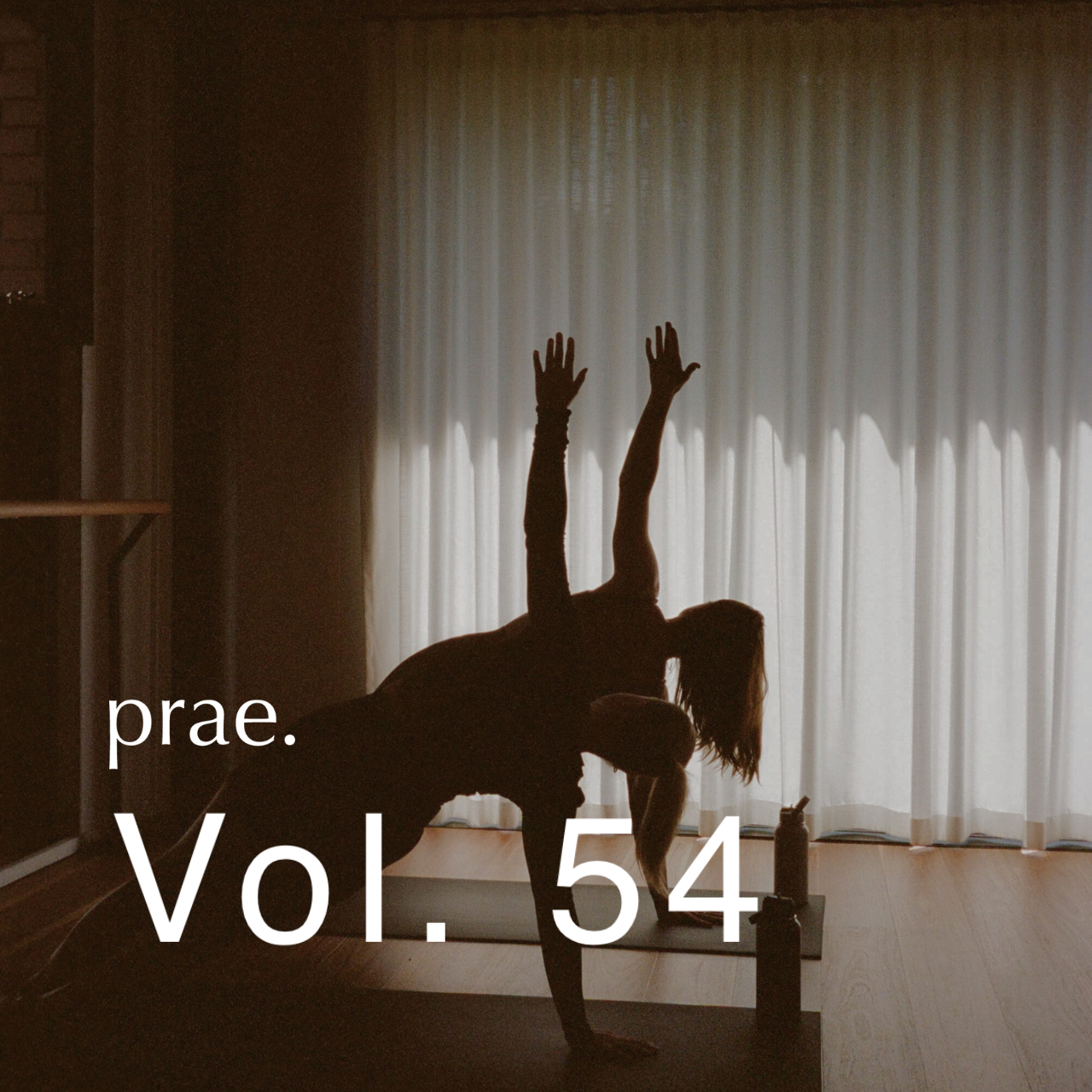 MINDFUL MOVEMENT - VOL. 54