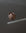 Drink Bottle Lid – Taupe