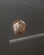 Drink Bottle Lid – Beige